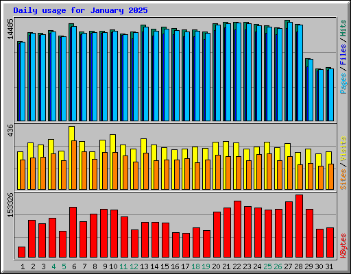 Daily usage for January 2025