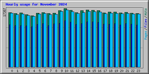 Hourly usage for November 2024