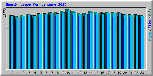Hourly usage for January 2025
