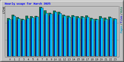 Hourly usage for March 2025