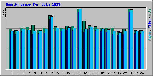 Hourly usage for July 2025