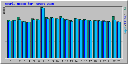 Hourly usage for August 2025